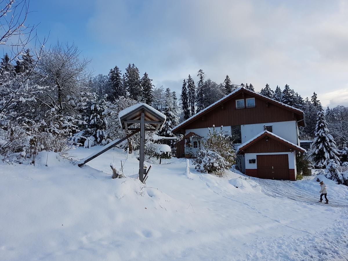 Ferienwohnung Dersch Маут Экстерьер фото
